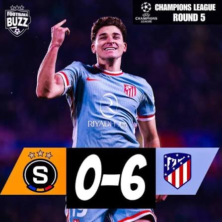 Není zač tweet media