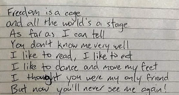 David Winter tweet media