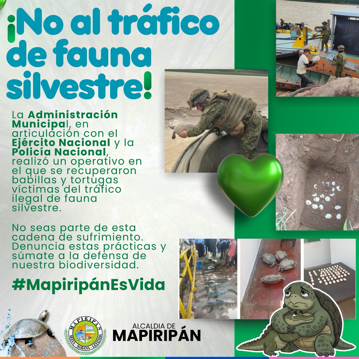 alcaldia municipal mapiripan tweet media