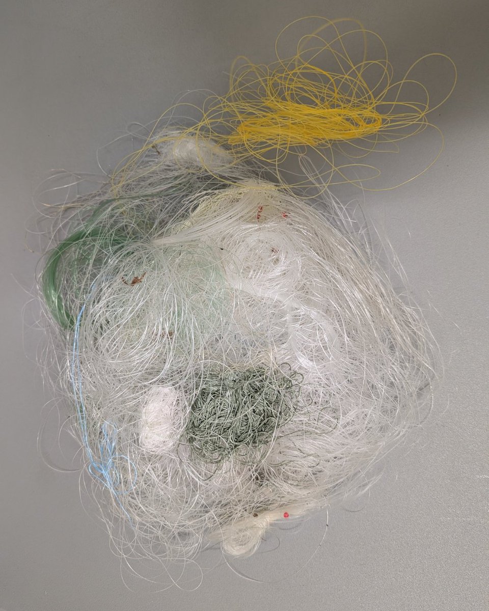 Pollution Probe tweet media