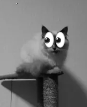 cursedbm !!! (@cursedstickybm) on Twitter photo 