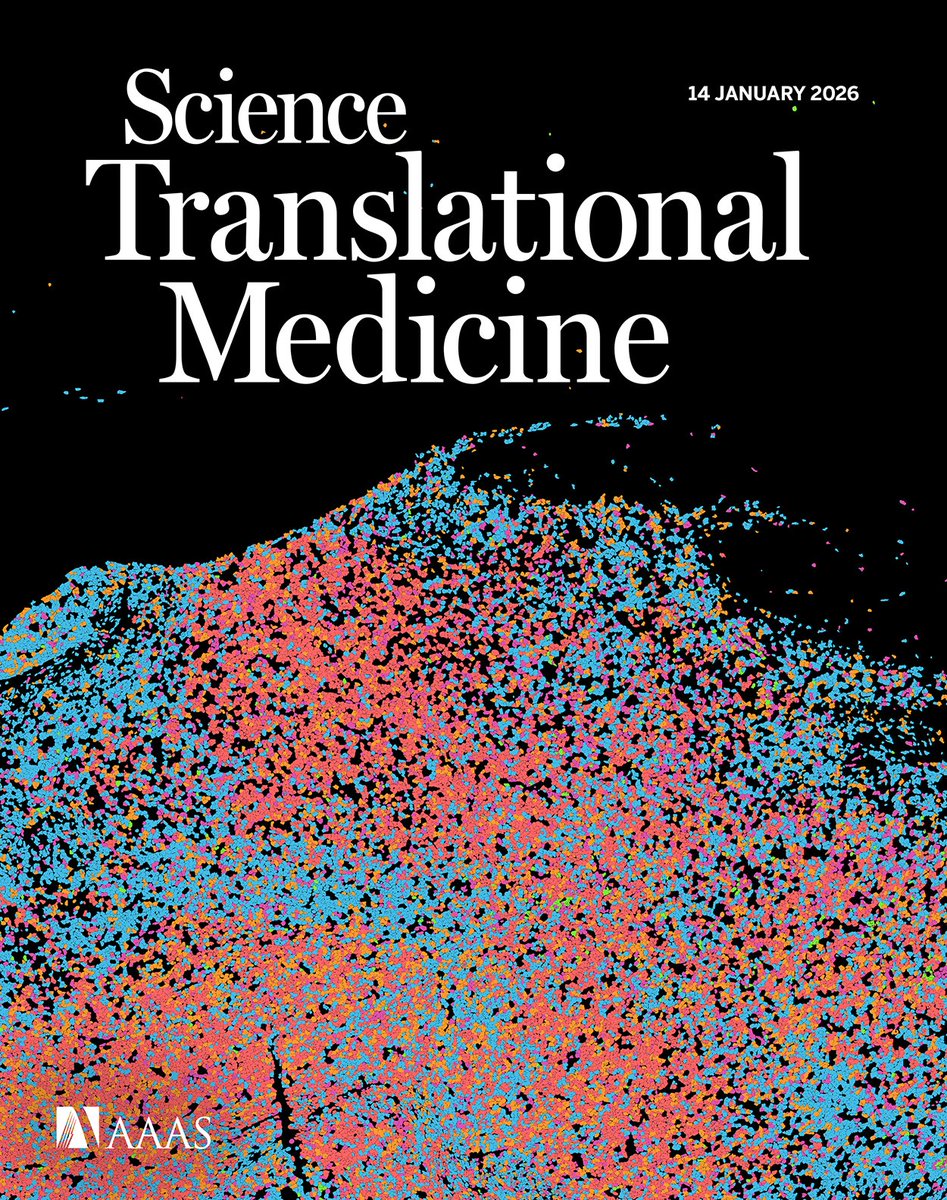 Holly Holliday tweet media