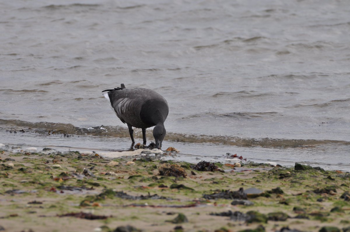 StuartBurt8's tweet image. 