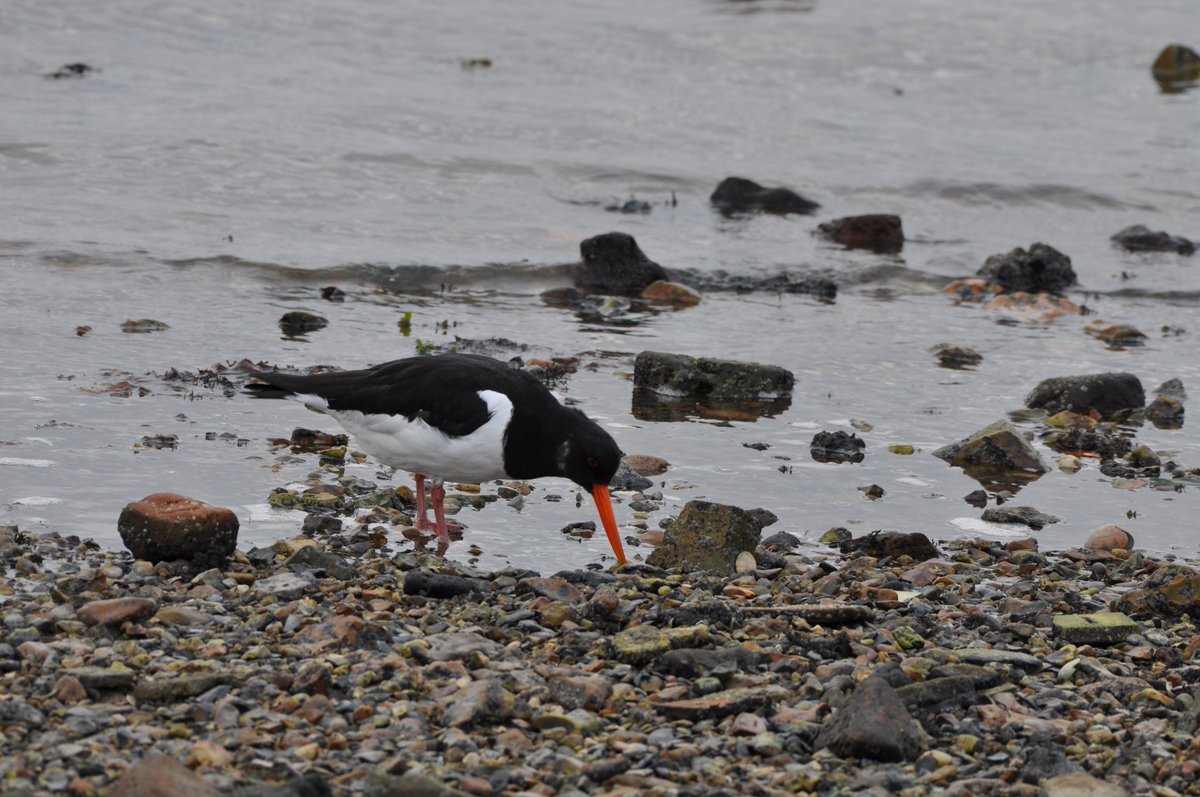 StuartBurt8's tweet image. 