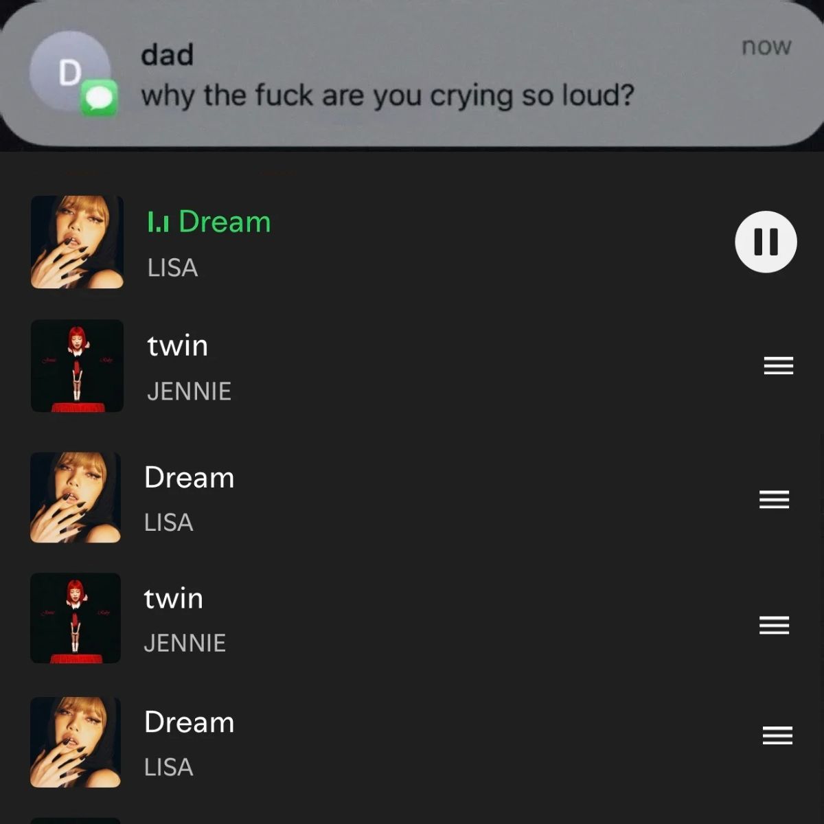 acerva jenlisa tweet media