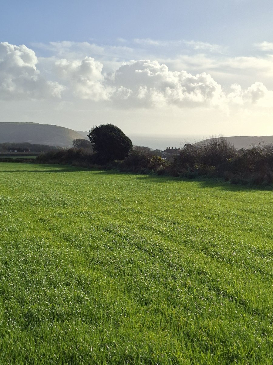 StuartBurt8's tweet image. 