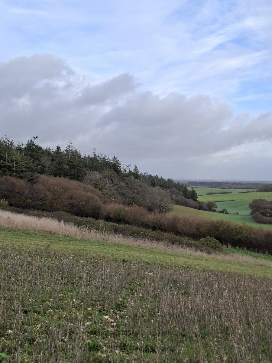 StuartBurt8's tweet image. 