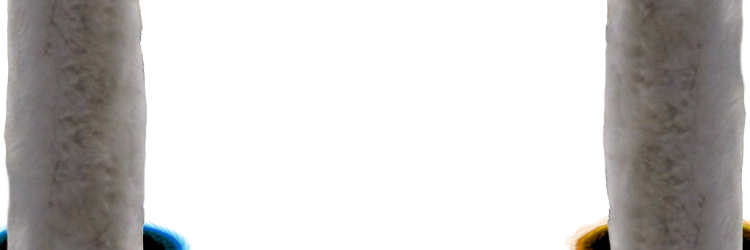 The Internet Fish tweet media