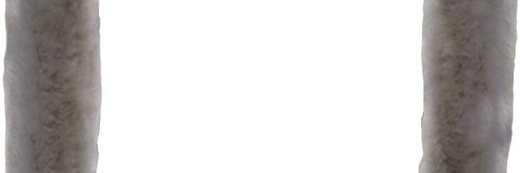 The Internet Fish tweet media