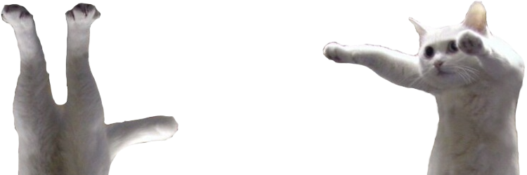 The Internet Fish tweet media