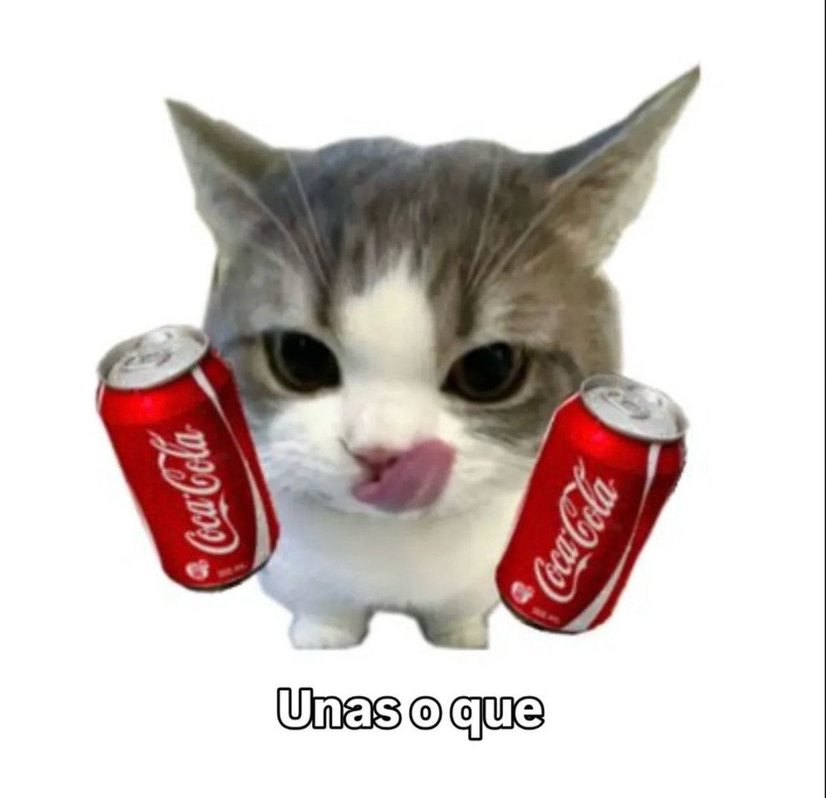 piña sin pizza (@skereunpesado) on Twitter photo 