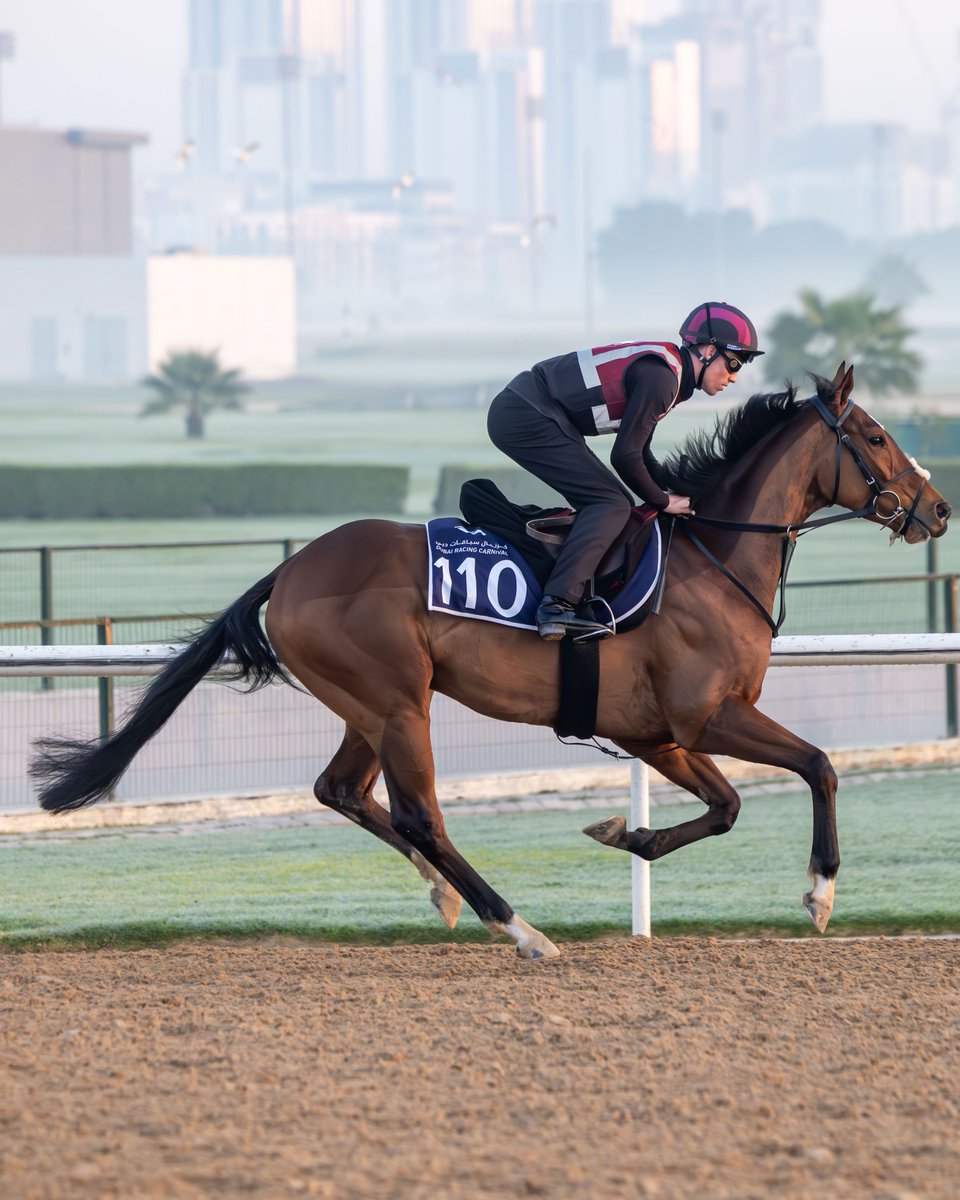 Dubai Racing Club tweet media