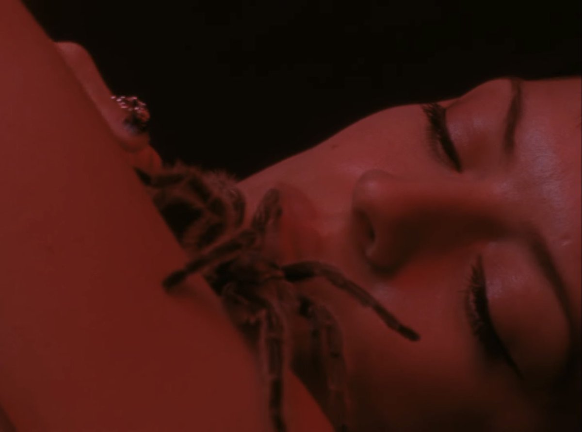 lovleemarias's tweet image. *gulps*