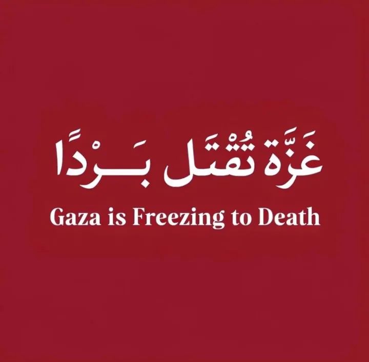 نشر هو أقل الجهاد 💔