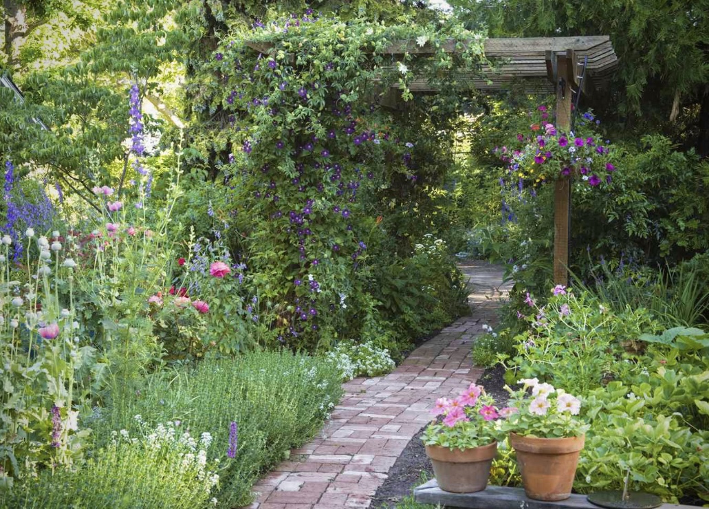 X에 게시된 이미지 예시