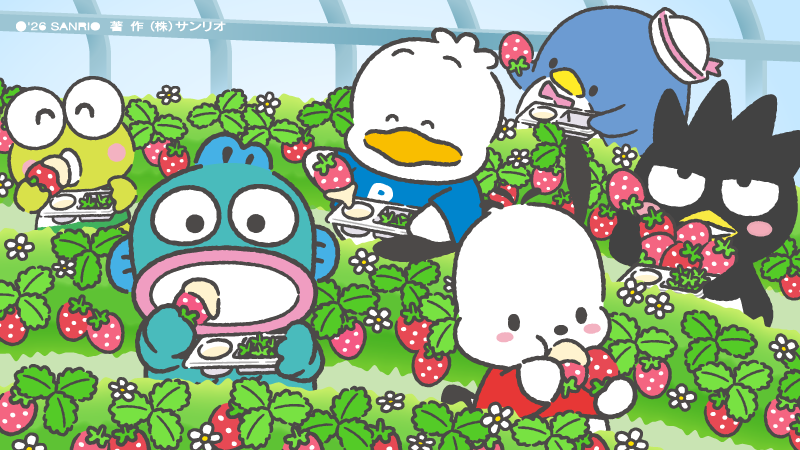 ご当地キティ 肝試しバージョン 5種 セット Amazon.co.jp: ハロー