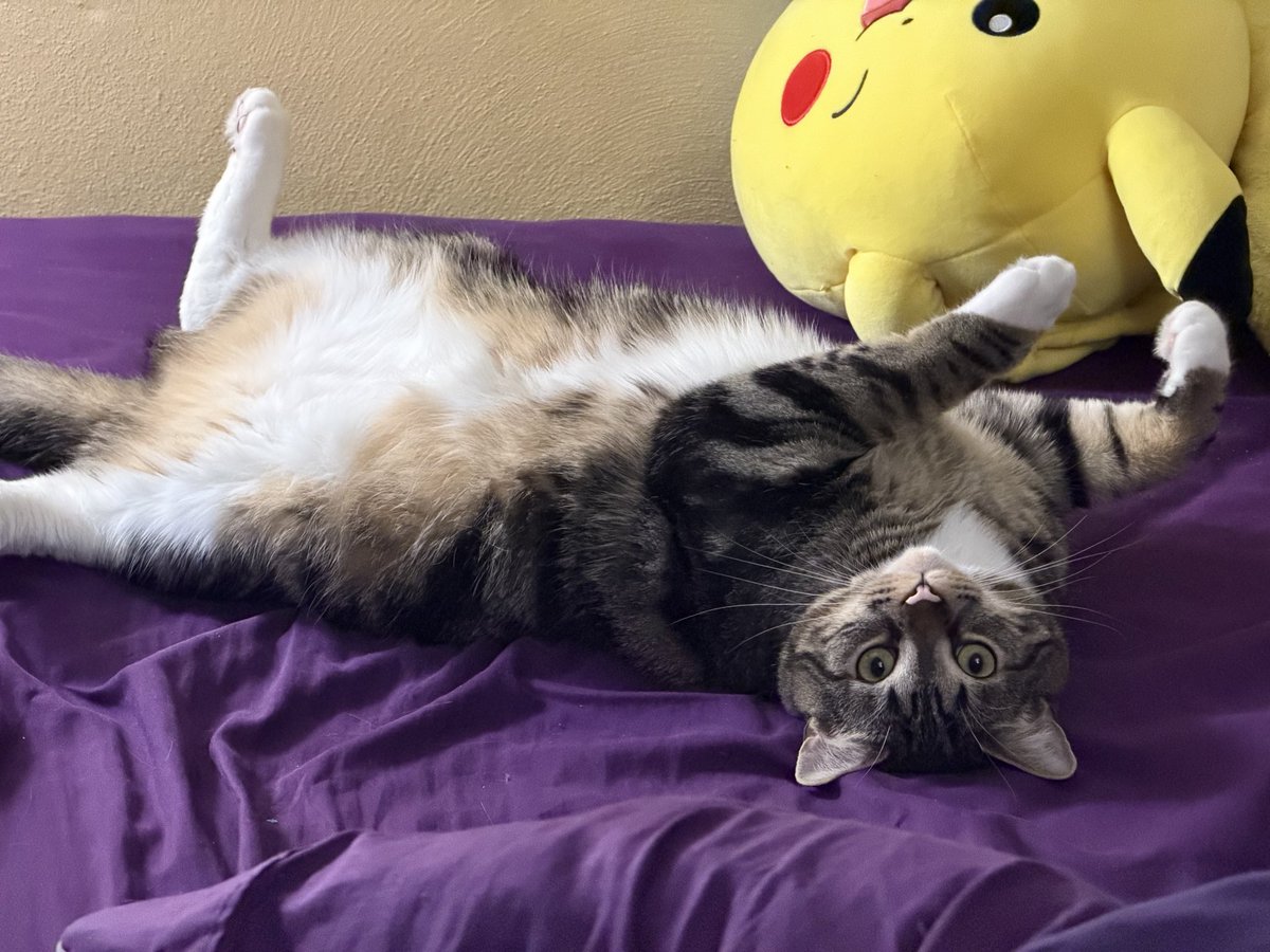 AaronAstroX's tweet image. My sons