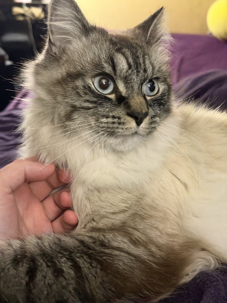 AaronAstroX's tweet image. My sons