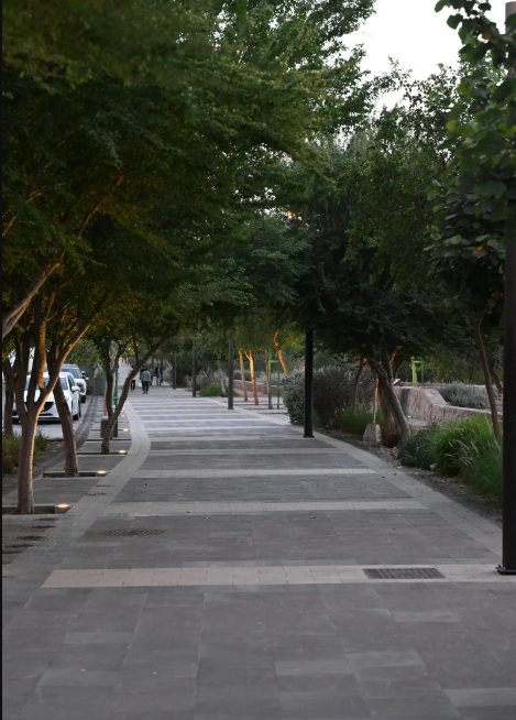 صور.. مسارات المشي في المدينة المنورة.. وجهات متكاملة لتعزيز جودة الحياة 