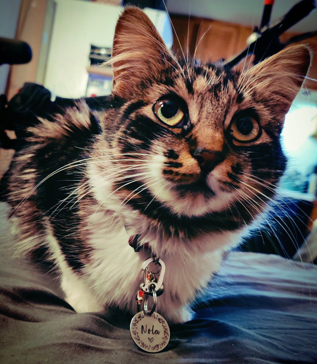 RealSlowLoris's tweet image. I just wanted to thank everyone for all of the kindness you've shown me. I never expected these goobers to surprise me by doing this, but it meant so much. Life has thrown a massive curve ball at me recently and pelted me with a few softballs over the last year or so, but this…