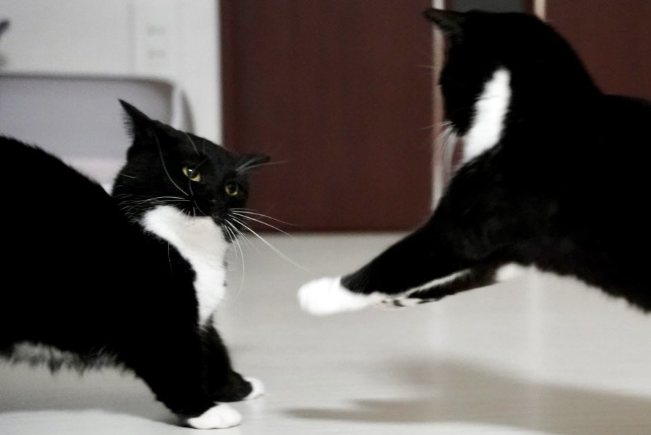 unicouniuni3's tweet image. The battle of the century begins!