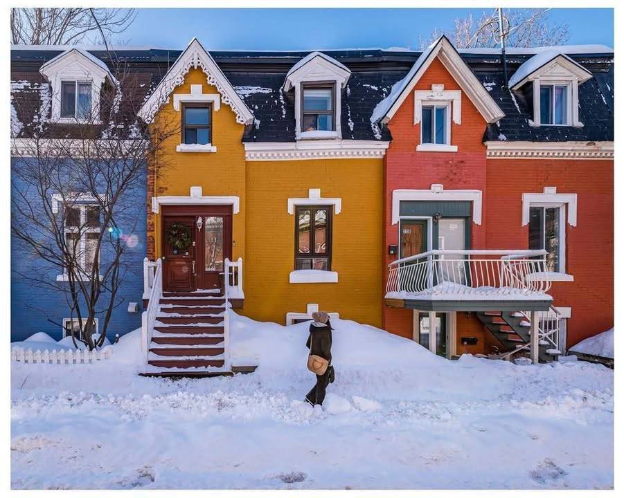 CanadaTunisia's tweet image. Winter colors in Plateau Mont-Royal ❄️🌈 : who else loves this Montreal canvas 🎨🌟 ?

📸 @arcpixel/IG

#Montreal 🍁 #ExploreCanada