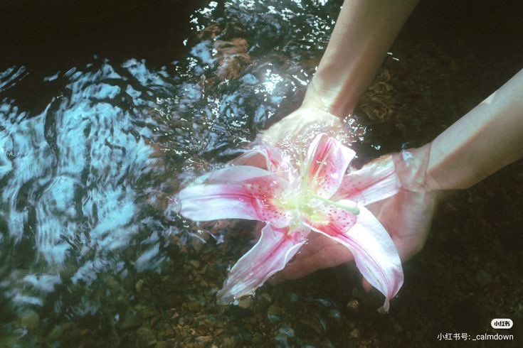 2kiiitis's tweet image. kiiikiii mermaid core