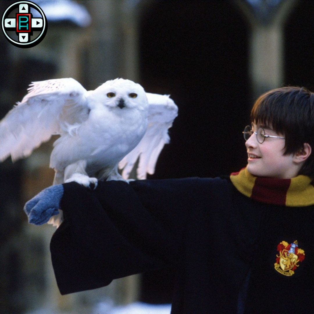 RUMOR 🚨🚨🚨:
With the rumor of Meta shutting down two studios (Twisted Voxel and Sanzaru Games), according to creator GamerTag VR, it seems Meta also shutdown a Harry Potter VR game

If this is true, do you think a VR Harry Potter game would've done well?