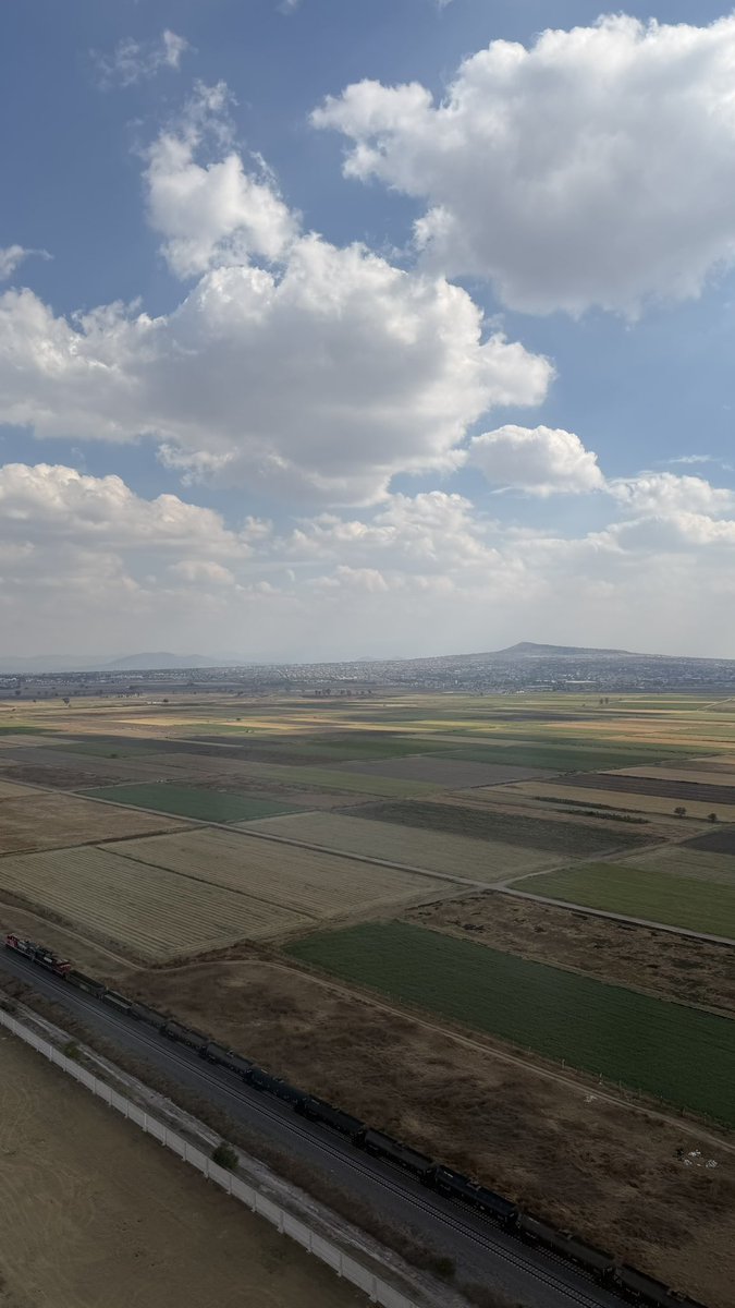 Diana Valenzuela tweet media