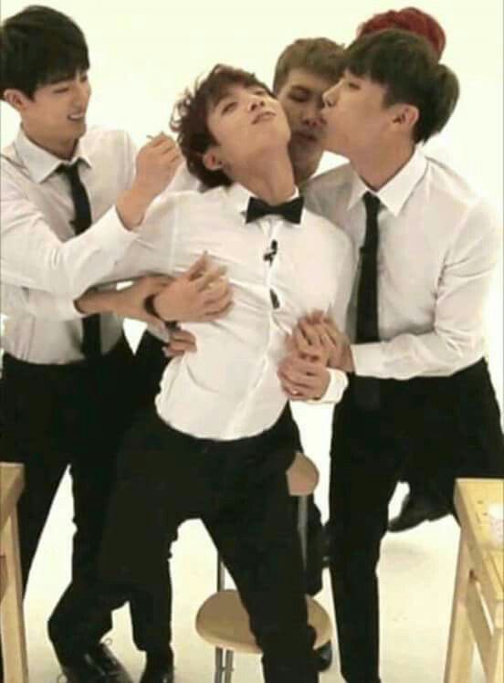 abocervo's tweet image. esse eh o alfa de vcs?