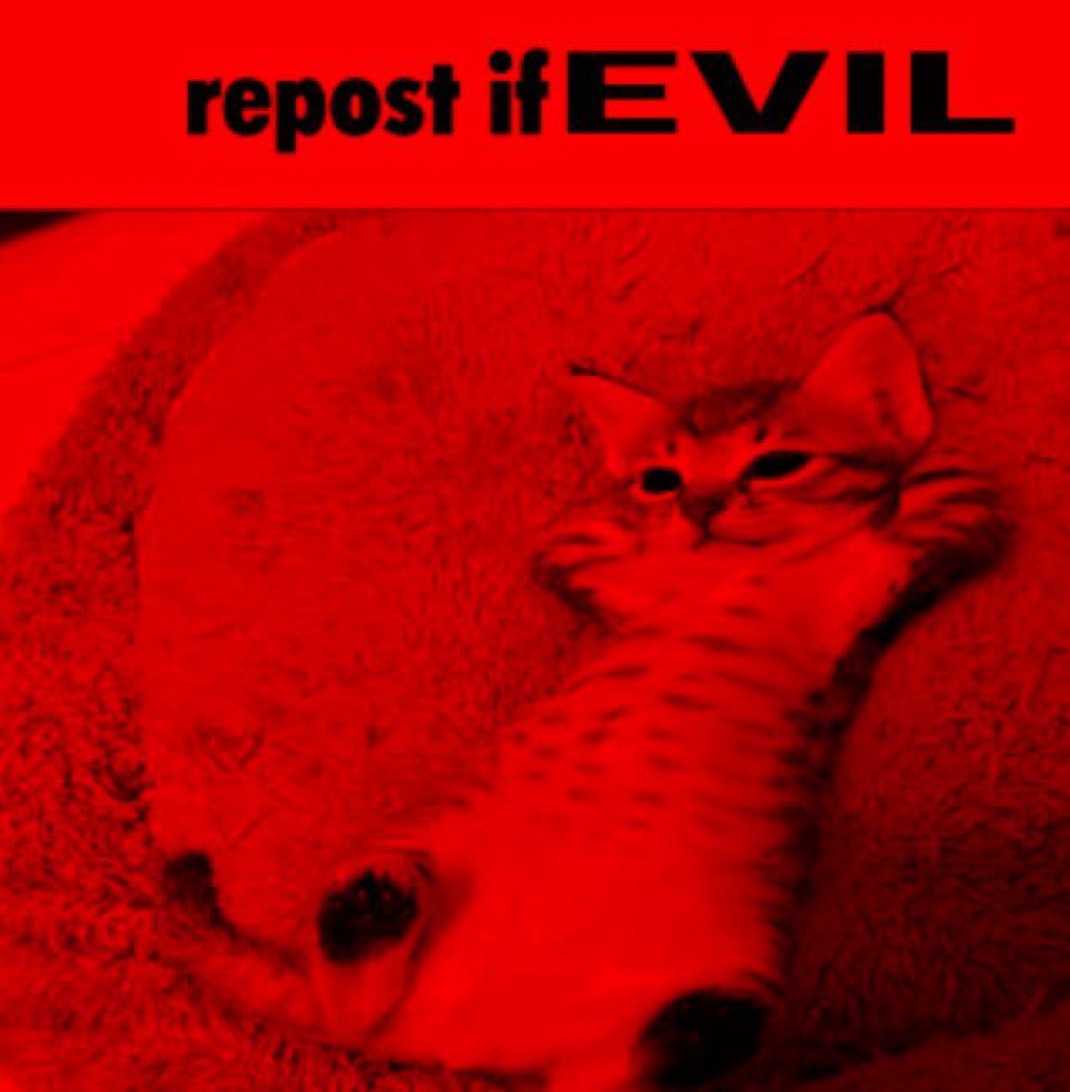 ShitpostGate's tweet image. 