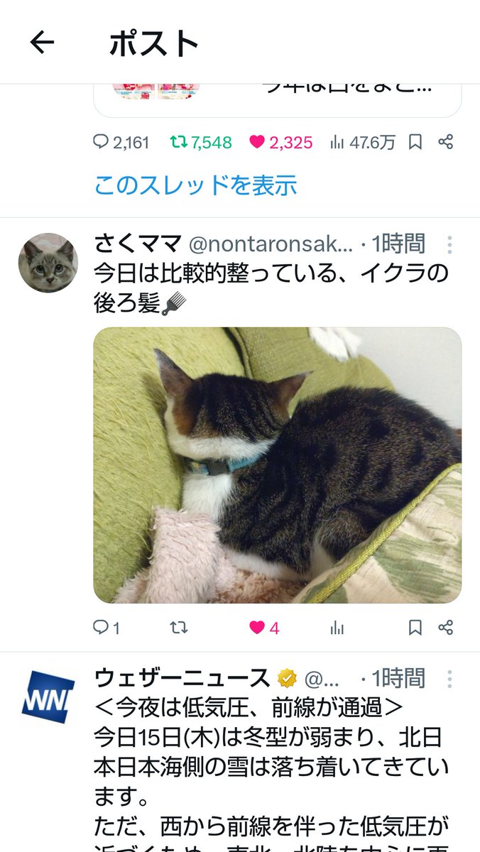 しろね (@4x1h1UCXKBYG9sc) / Posts / X