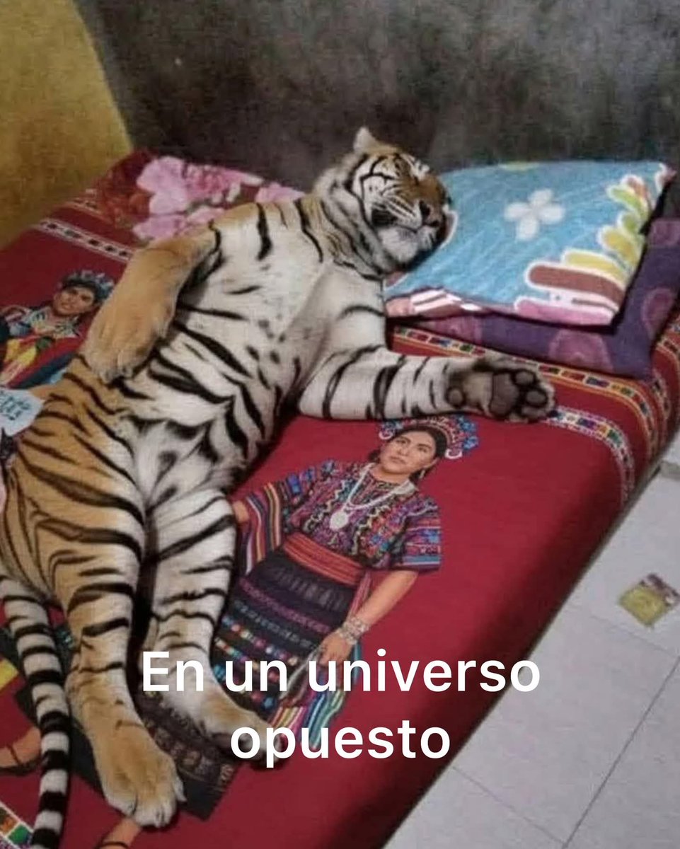 Animalesaprieto's tweet image. 