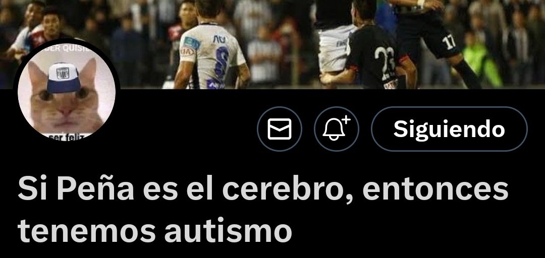Pizarrista14's tweet photo. https://t.co/eLNsWi31lz