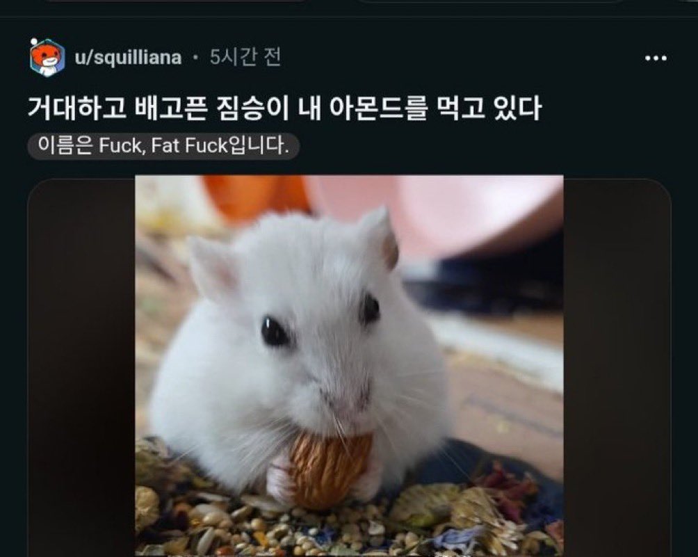 거대하고 배고픈 짐승이 내 스파게티를 먹고 있다 이름은 Waterboy입니다.