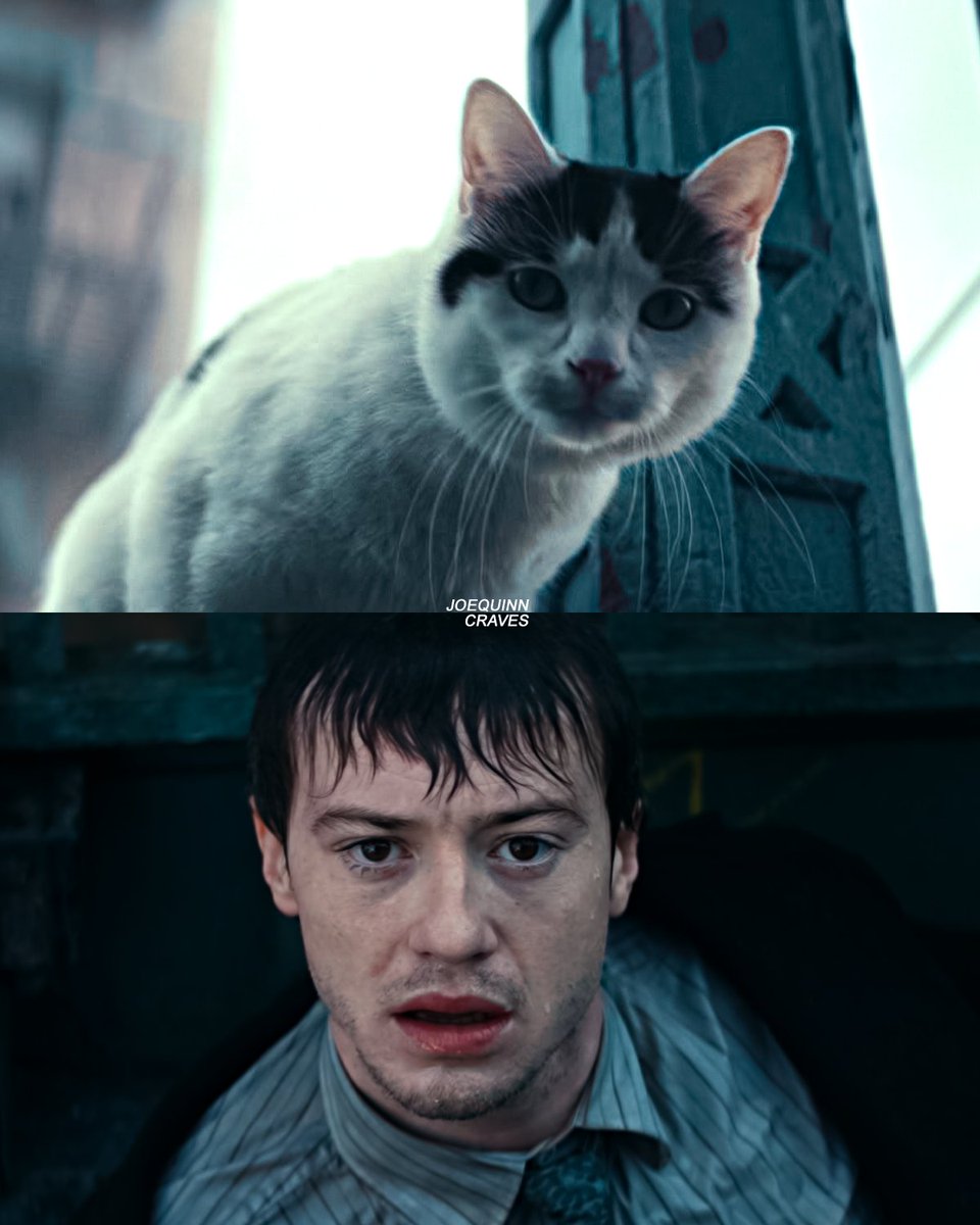 joequinncraves's tweet image. a quiet place: day one (2024)