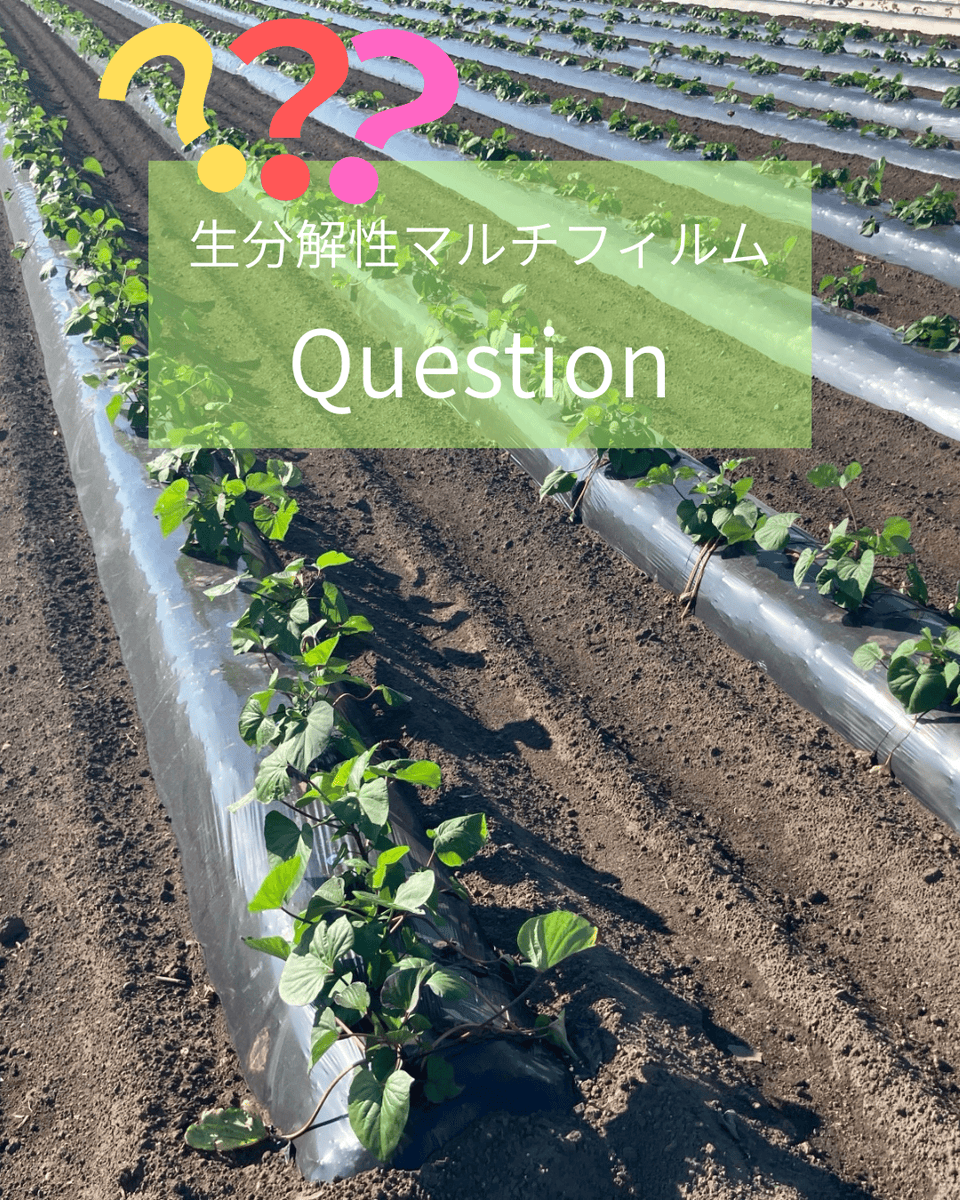 ＼🌱好評発売中！生分解性マルチフィルム『ネイチャーマスター®』紹介シリーズ㉟／

【Q】生分解性マルチフィルムって何ですか？普通のマルチフィルムとどう違うの？