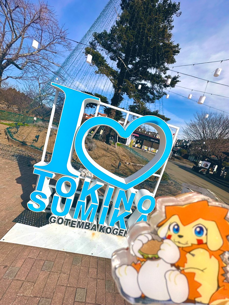 ちびすけ (@tibi_mofu) / Posts / X