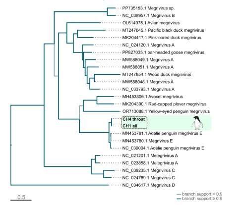 Michelle Wille tweet media