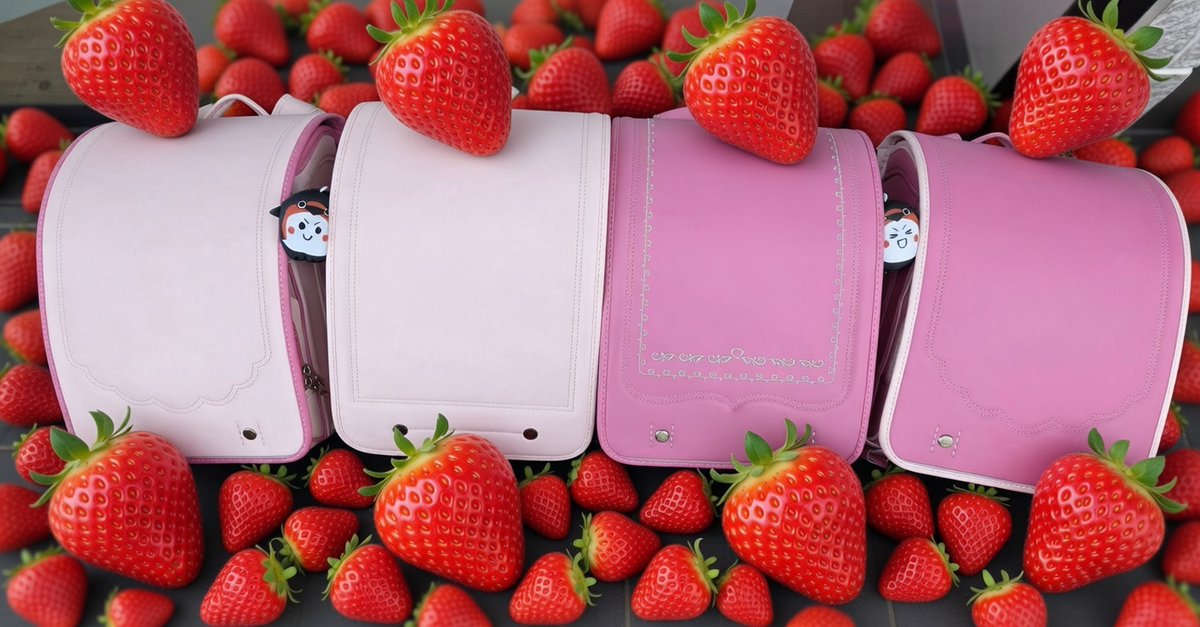 ᴗ・ ₎ oO( 今日はいちごの日！ツバメランドセルのイチゴの日に