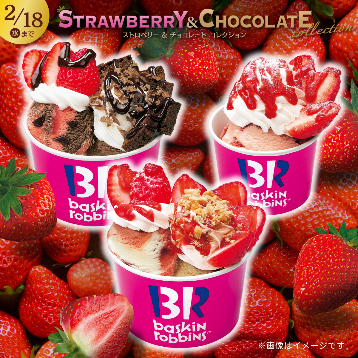 犬として生きる (@mirusendesuwaan) / Posts / X