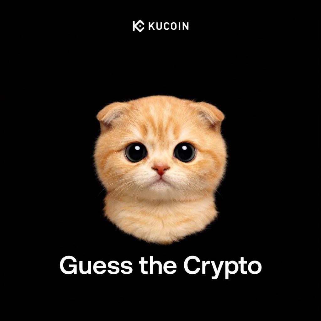 sachi_coin's tweet image. This cat knows the answer.
Do you?
Drop your guess 😻👇