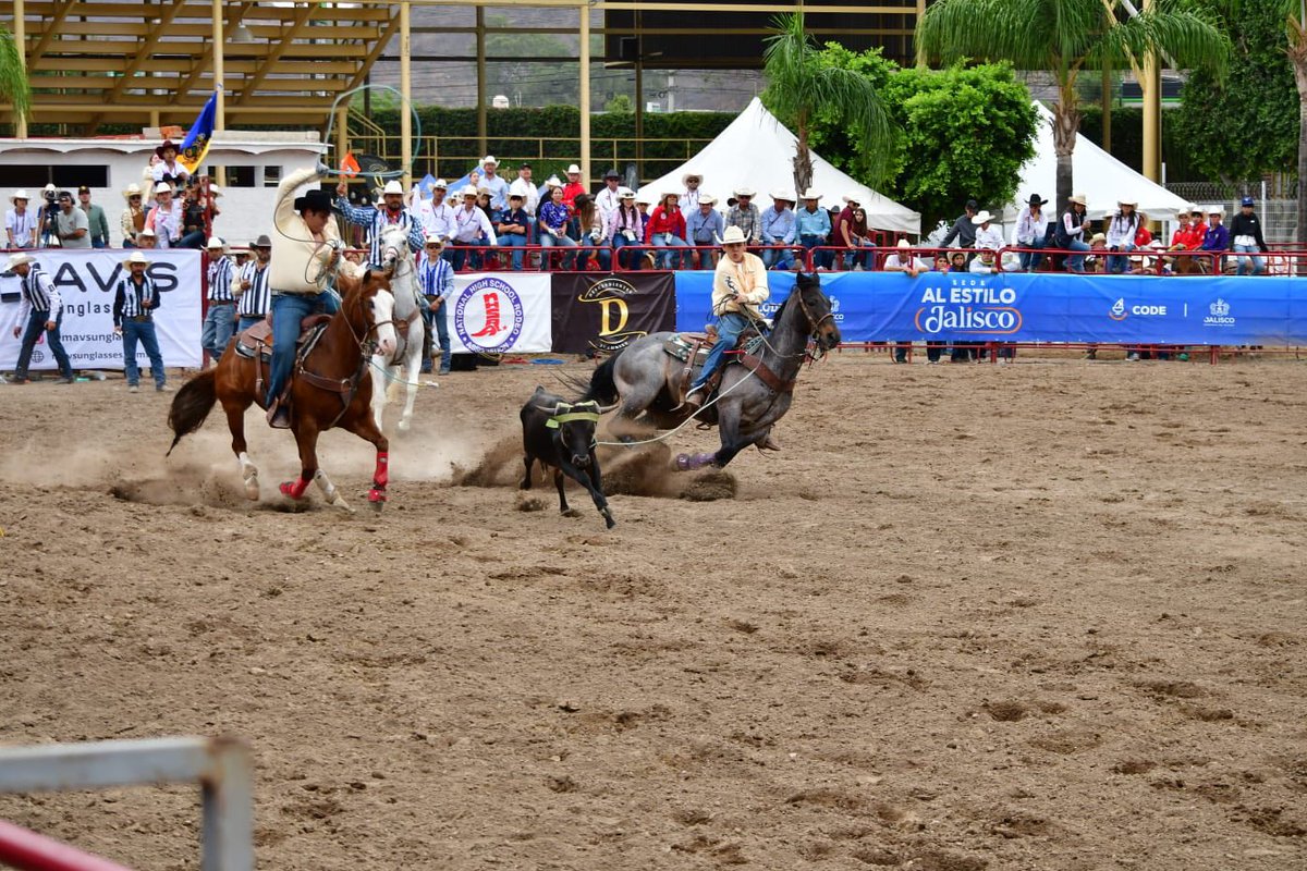 drdumm's tweet image. camarainformativa.com La Olimpiada Nacional, que nació en 1996 por iniciativa de la Comisión Nacional de Cultura Física y Deporte (CONADE) con el objetivo de fomentar el deporte entre los jóvenes y ampliar su práctica en todo el país, cumple 30 años de existencia en este 2026