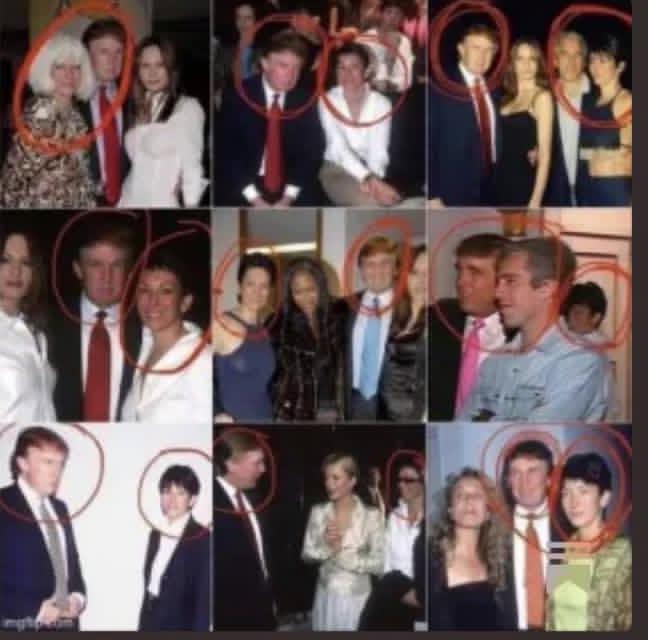 ♿️Happy Turtle♿️ tweet media