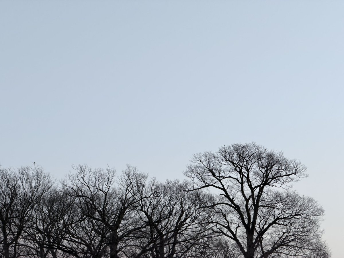 sato_thinking's tweet image. アウトプットの質は、学びの深さに比例。

表面的に整えた成果物よりも、どれだけ深く考え、理解し、咀嚼したかが自然とにじみ出たものこそ価値がある。アウトプットの質を上げたいなら、まずは学びの質を高めることに集中すべき。

おはようございます。
今日も良い一日をお過ごしください！