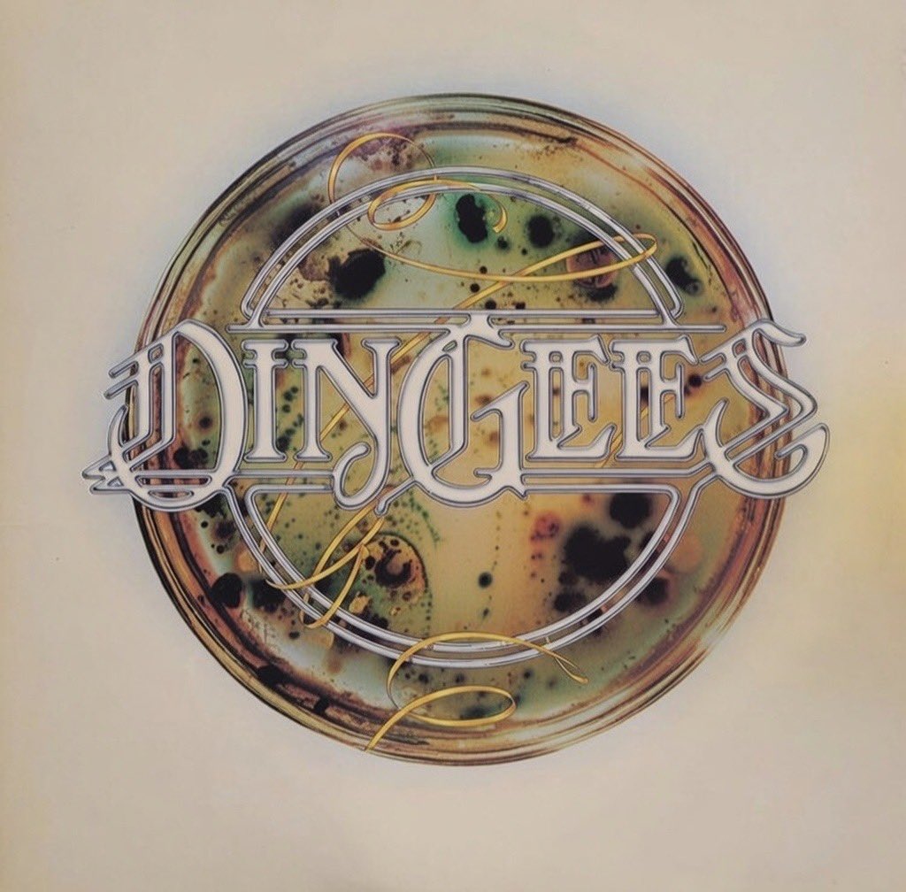 Eaglebauer tweet media