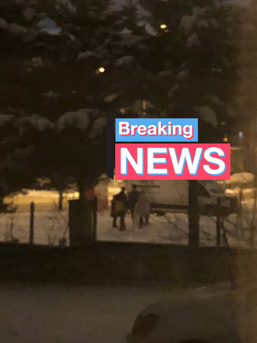 cin düğünü var gelen gelsin