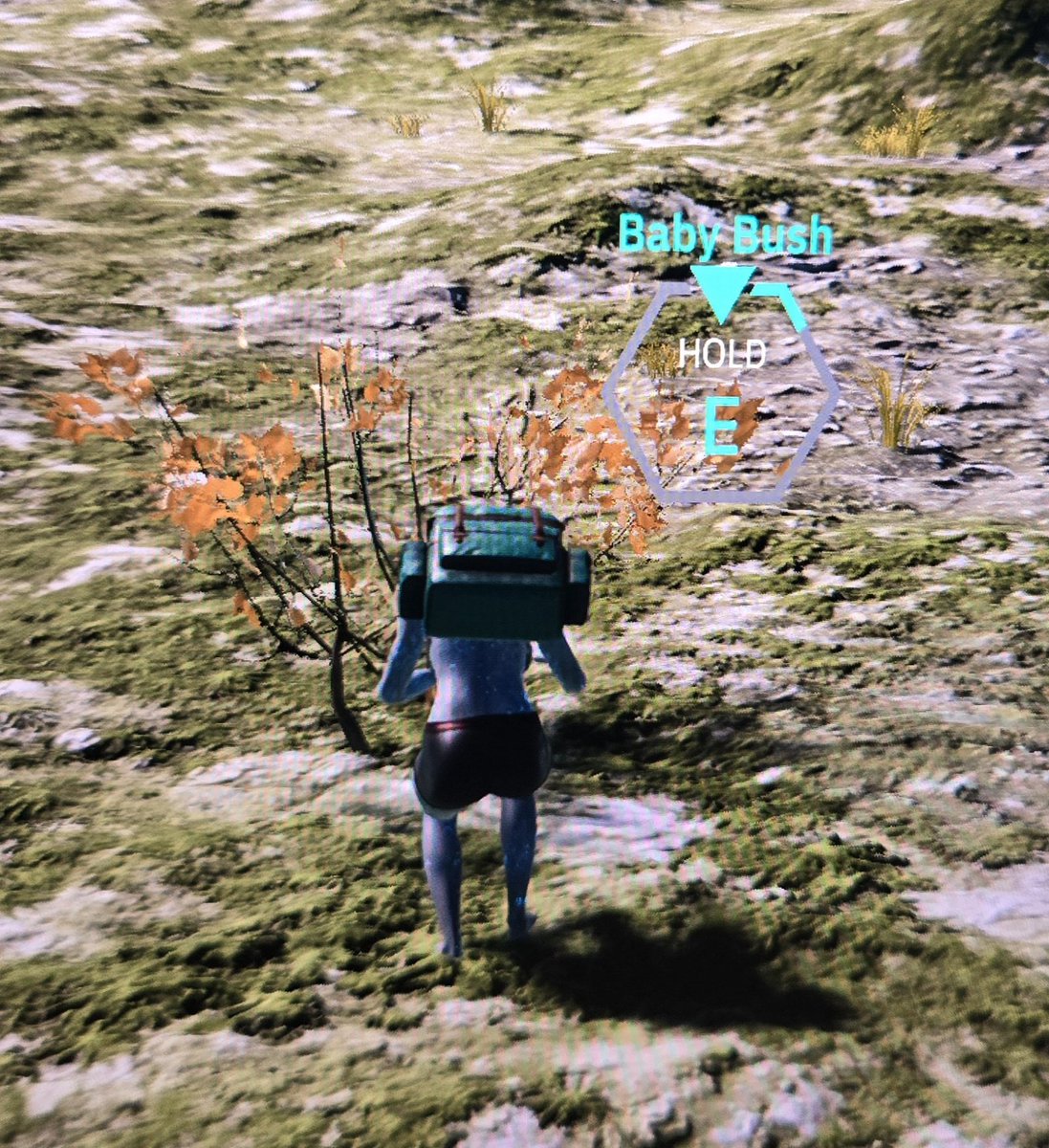 Laura 🌎 2️⃣ 💕 tweet media