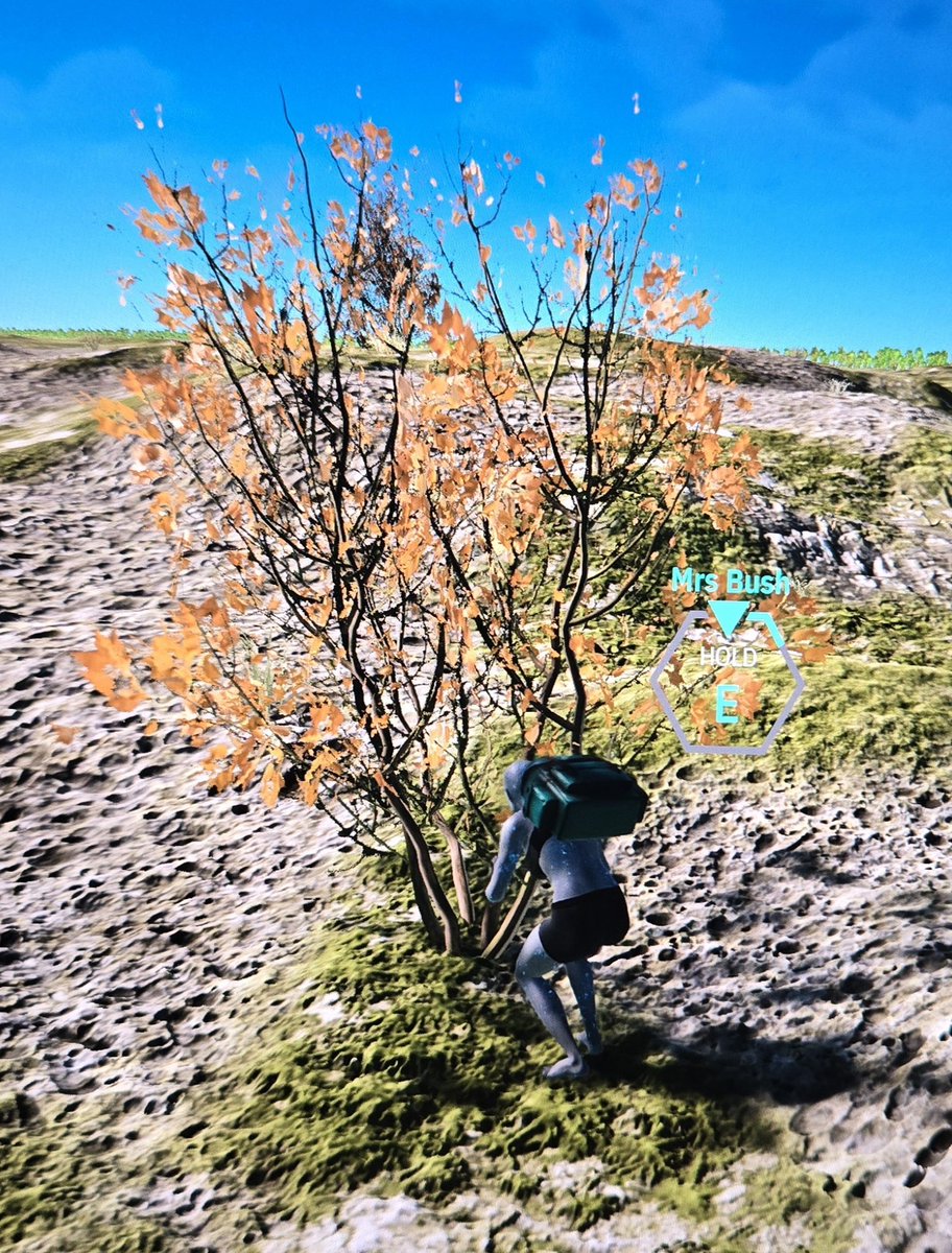 Laura 🌎 2️⃣ 💕 tweet media