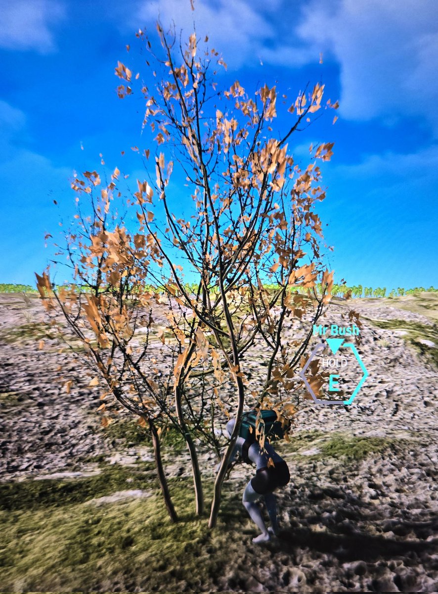 Laura 🌎 2️⃣ 💕 tweet media